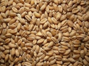 Weichweizen 1kg